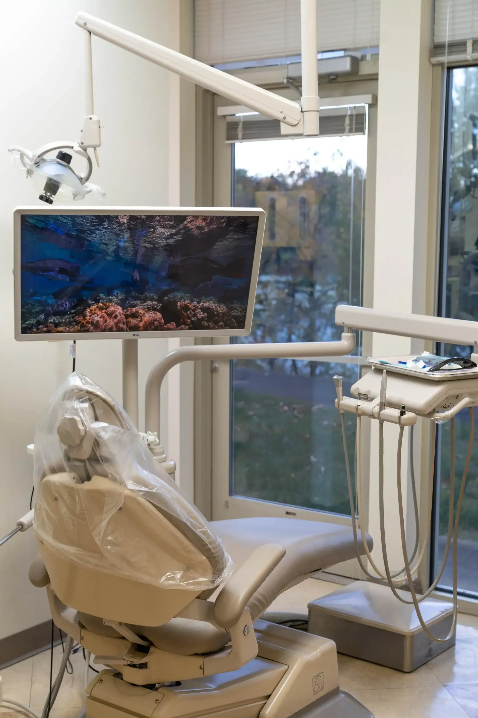 A treatment room at Westlake Dental in Sterling, with the ceiling screen and a window onto the trees